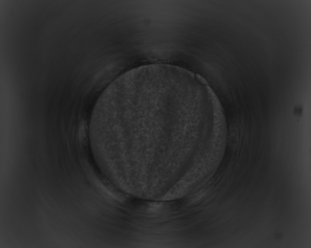 X0000091900130200710031210