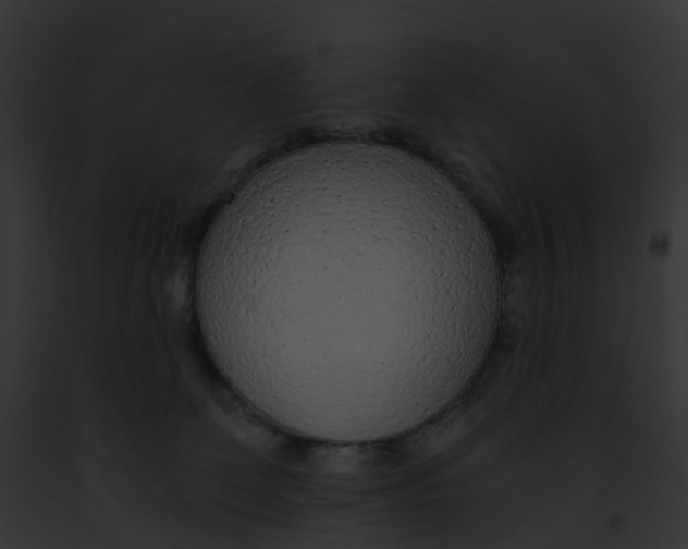 X0000091900131200710031210