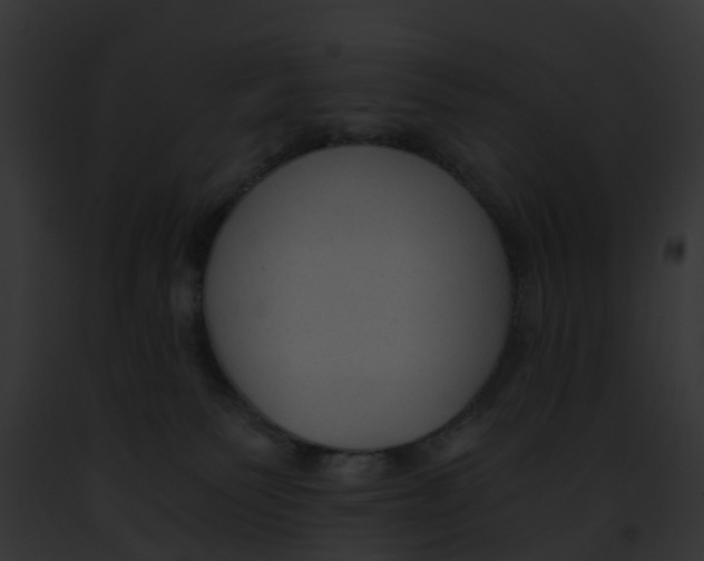 X0000091900135200710031210