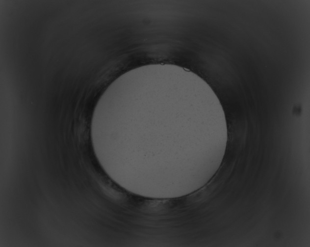 X0000091900136200710031210