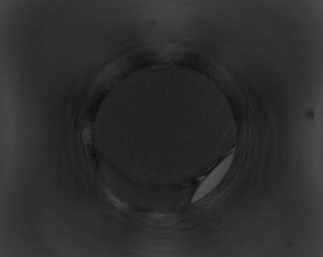 X0000091900137200710031210