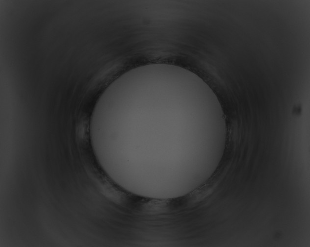 X0000091900138200710031210