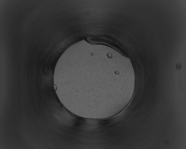 X0000091900144200710031210