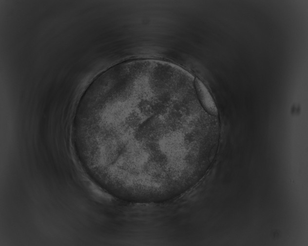 X0000091900145200710031209