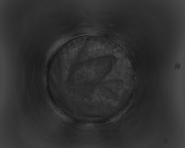 X0000091900149200710031209