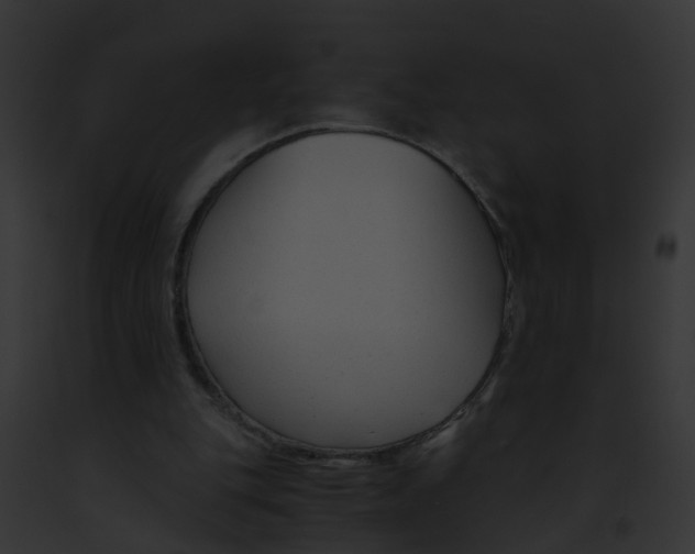 X0000091900151200710031209