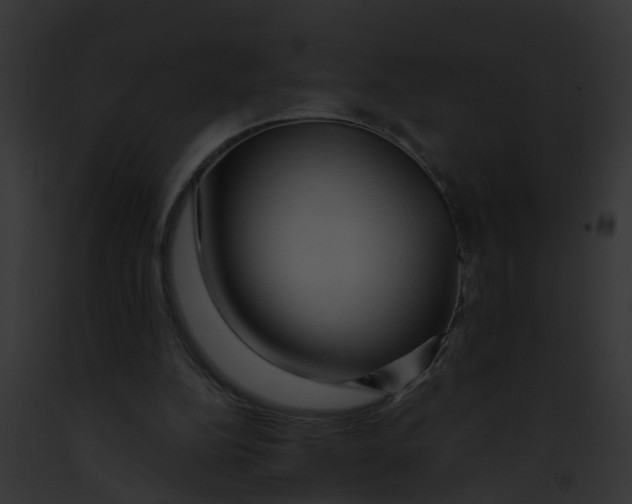 X0000091900152200710031209