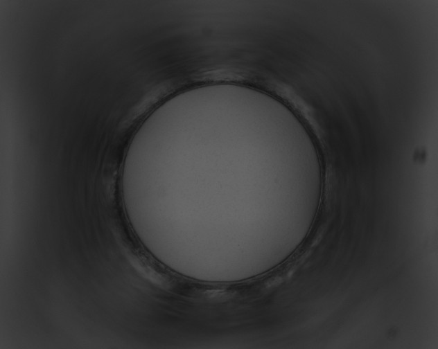 X0000091900153200710031209