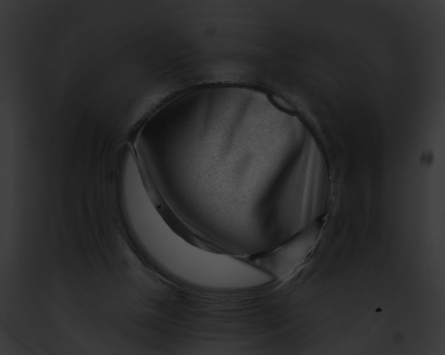 X0000091900154200710031209