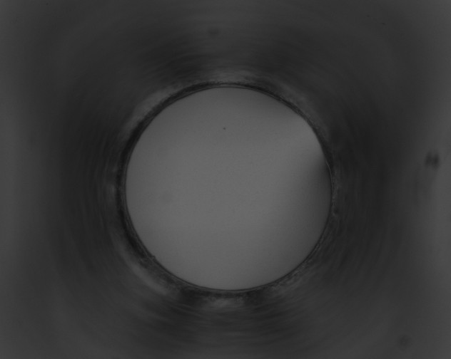 X0000091900155200710031209