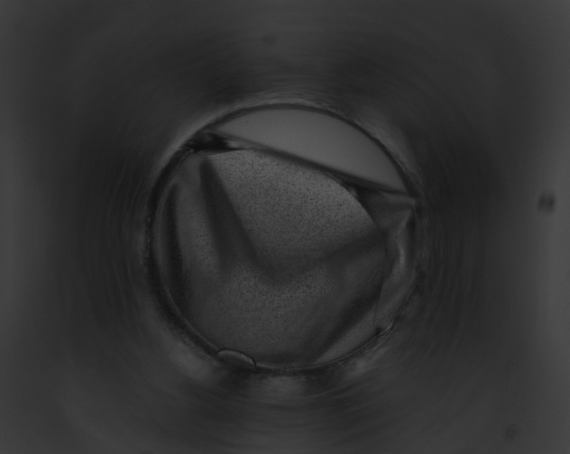 X0000091900156200710031209