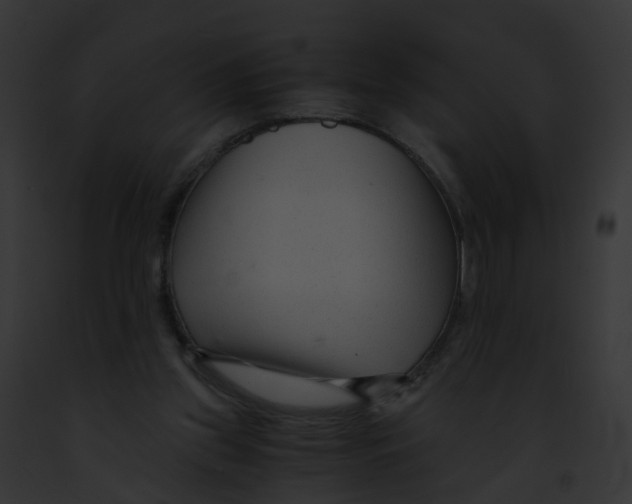 X0000091900157200710031209