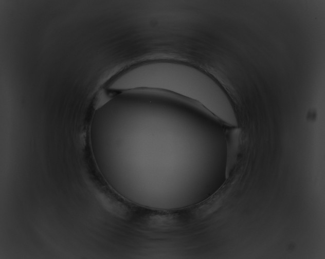 X0000091900160200710031209