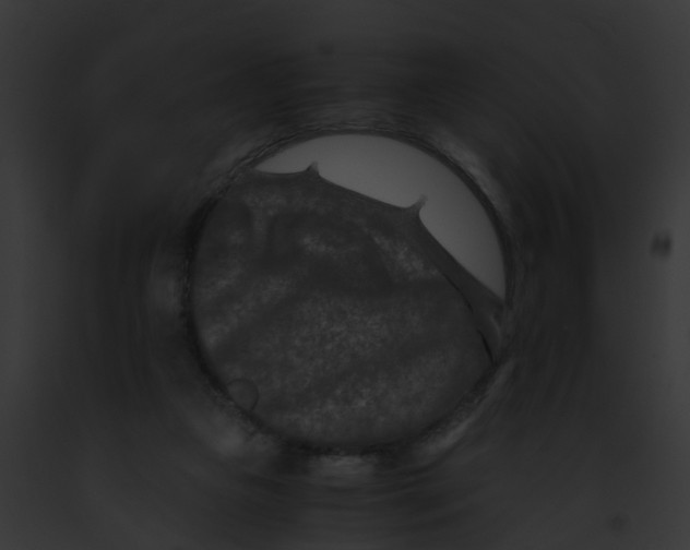 X0000091900161200710031209