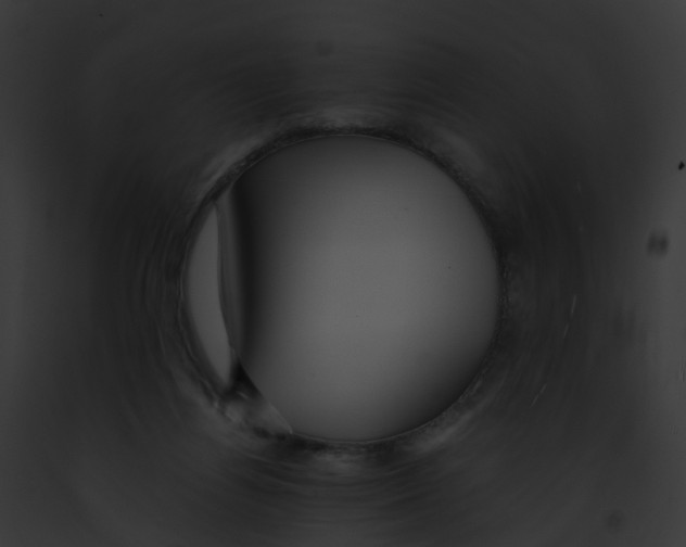 X0000091900164200710031209