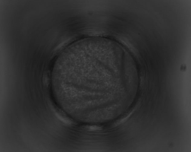 X0000091900165200710031209