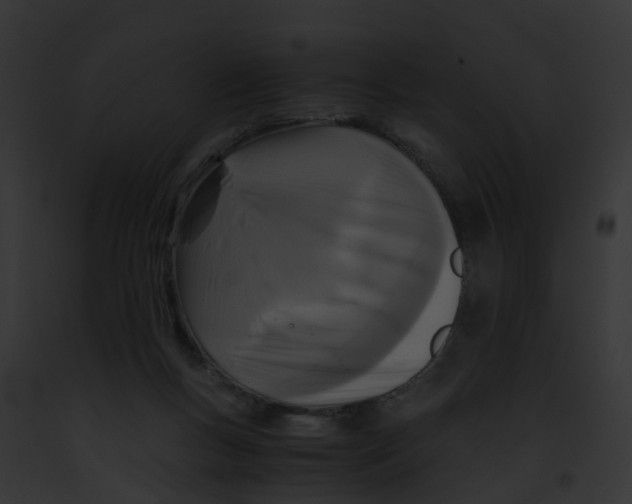 X0000091900167200710031209