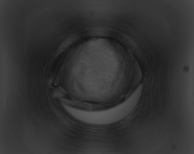 X0000091900168200710031210