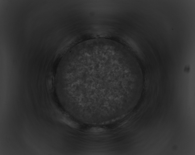 X0000091900169200710031210