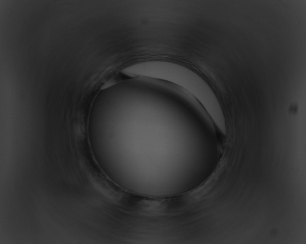 X0000091900170200710031210