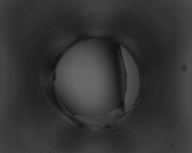 X0000091900172200710031210