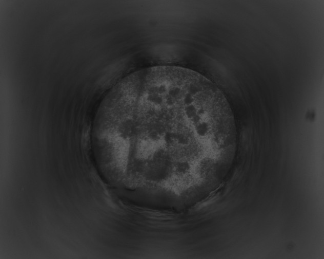 X0000091900177200710031210