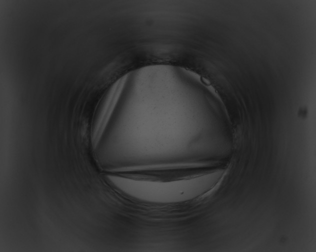 X0000091900178200710031210