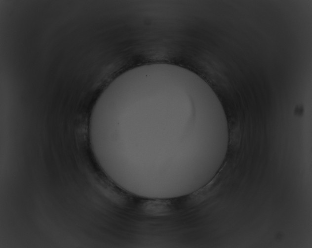 X0000091900179200710031210