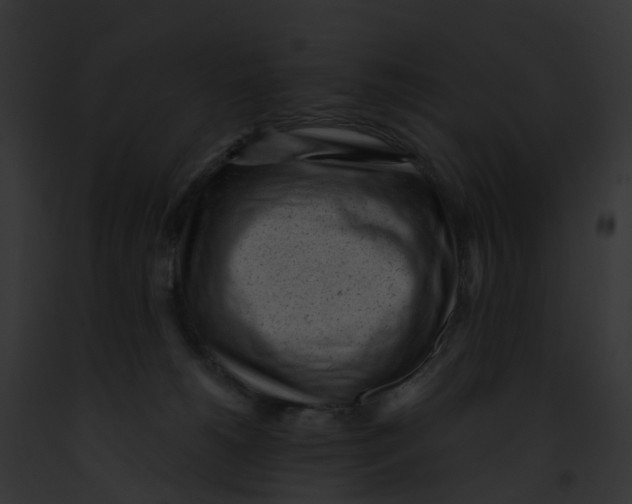 X0000091900180200710031210