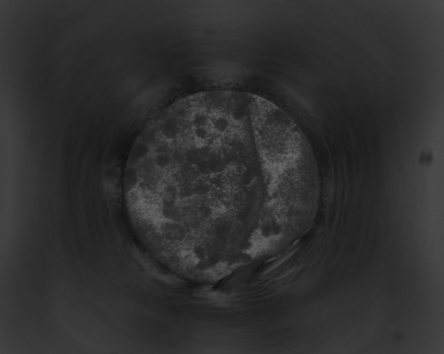 X0000091900181200710031210