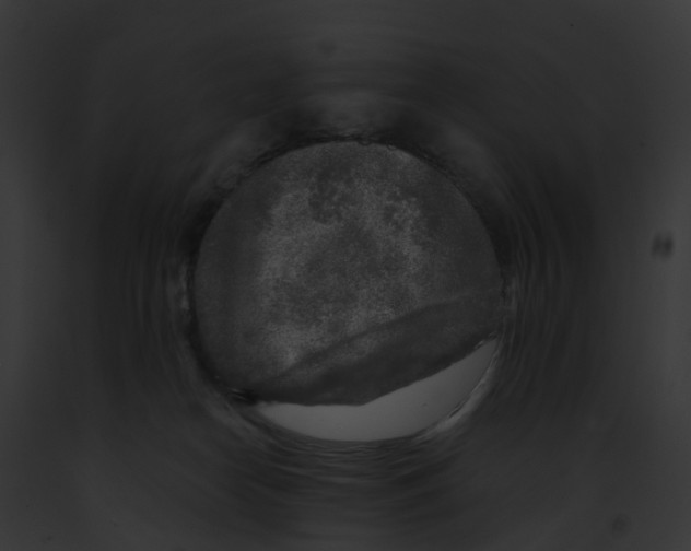 X0000091900182200710031210