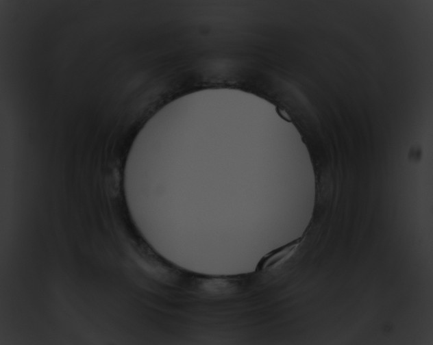 X0000091900183200710031210