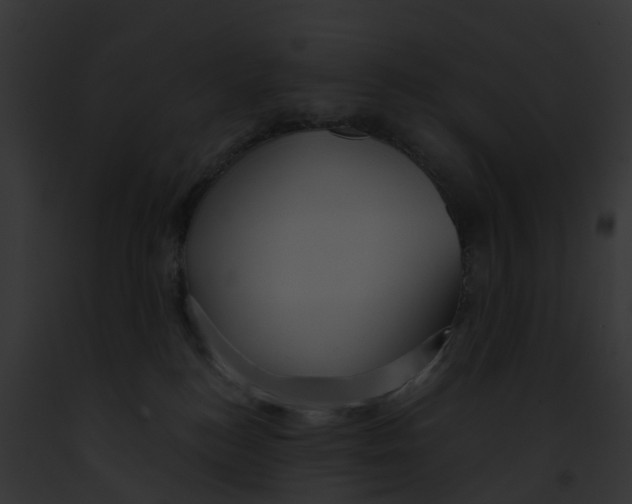 X0000091900184200710031210