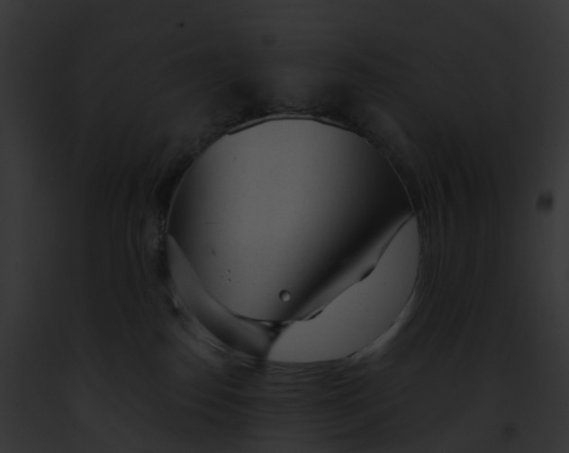 X0000091900186200710031210