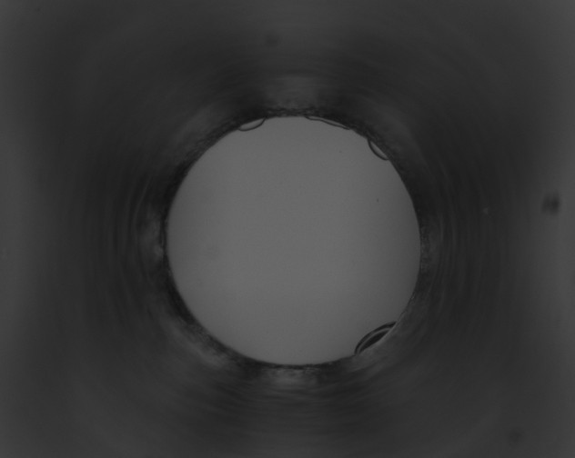 X0000091900187200710031210