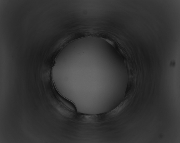 X0000091900188200710031210