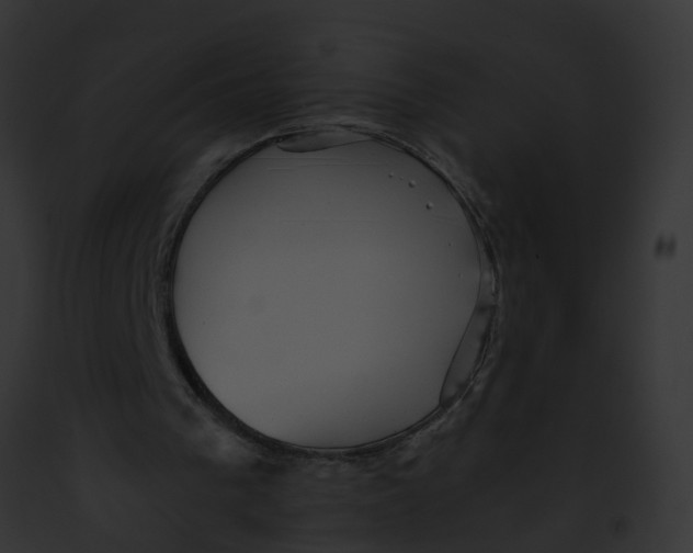 X0000091900193200710031209