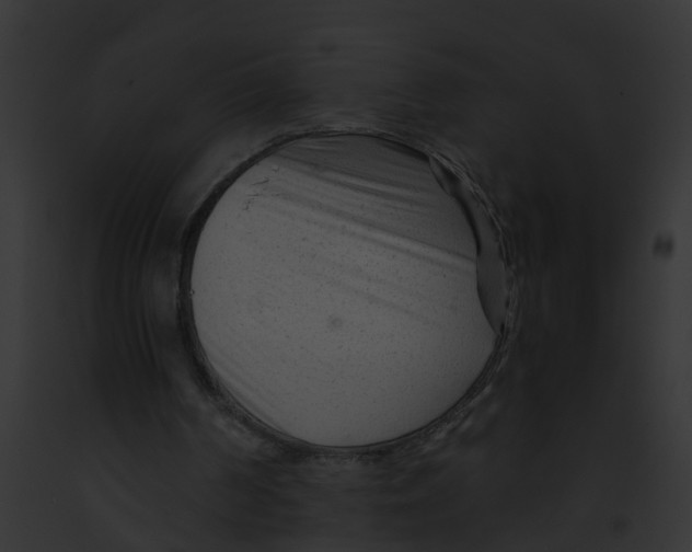 X0000091900194200710031209