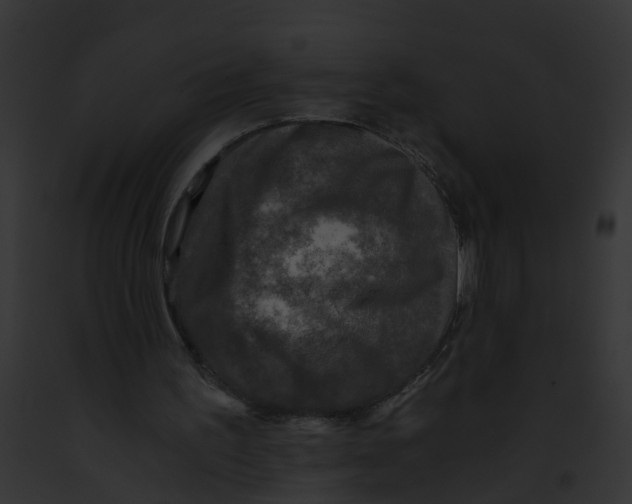 X0000091900195200710031209