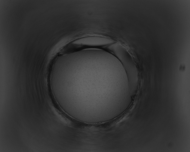 X0000091900197200710031209