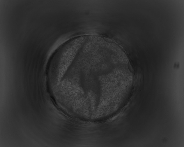 X0000091900198200710031209