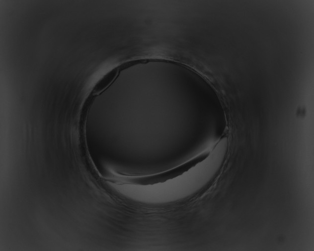 X0000091900200200710031209