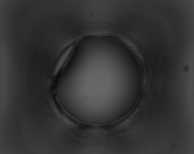 X0000091900201200710031209