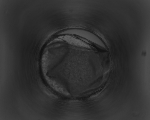 X0000091900203200710031209