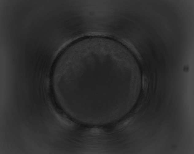 X0000091900204200710031209