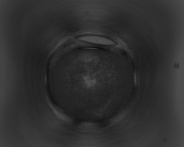 X0000091900205200710031209