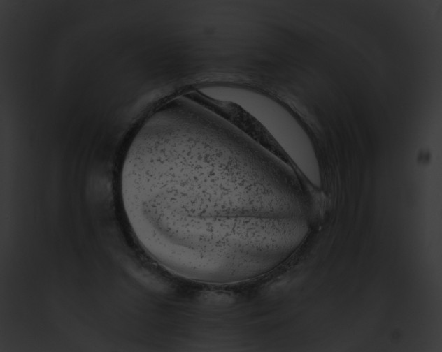 X0000091900207200710031209