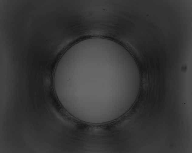 X0000091900208200710031209