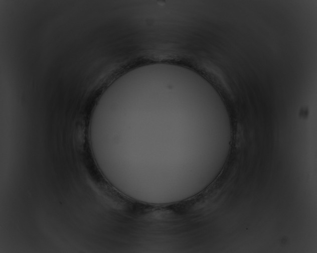 X0000091900210200710031209