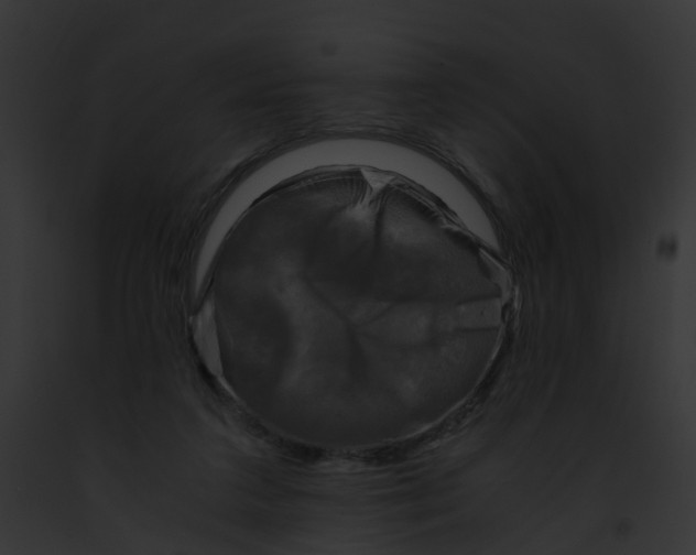 X0000091900211200710031209